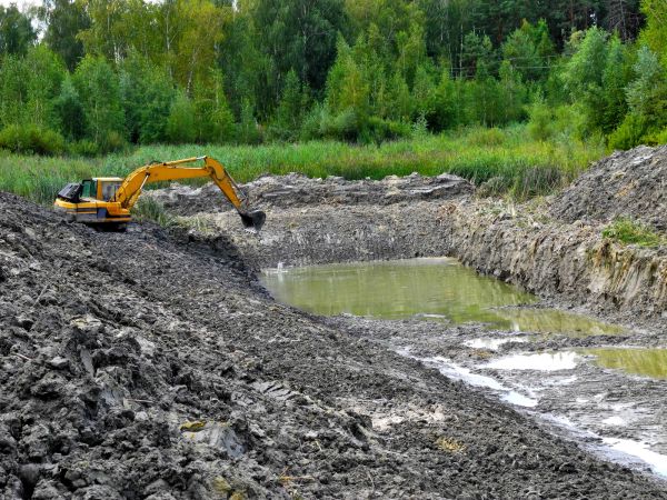 Cost of Fish Pond Digging in Sequim