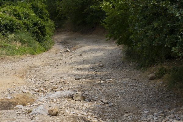Gravel Road Pothole Repair in Sequim