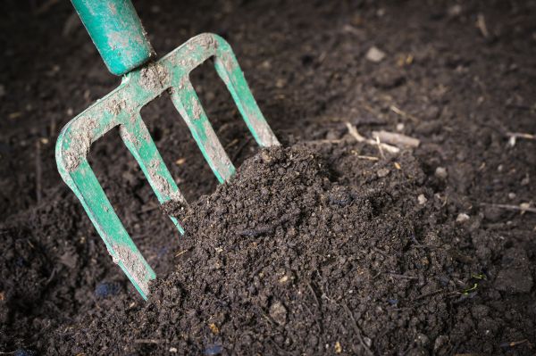 Cost of Topsoil Spreading in Sequim