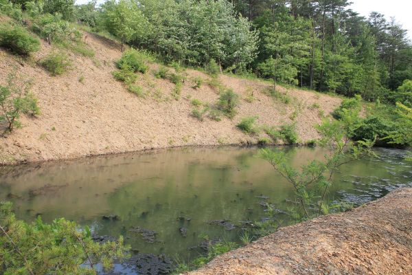 Pond Erosion Repair in Sequim