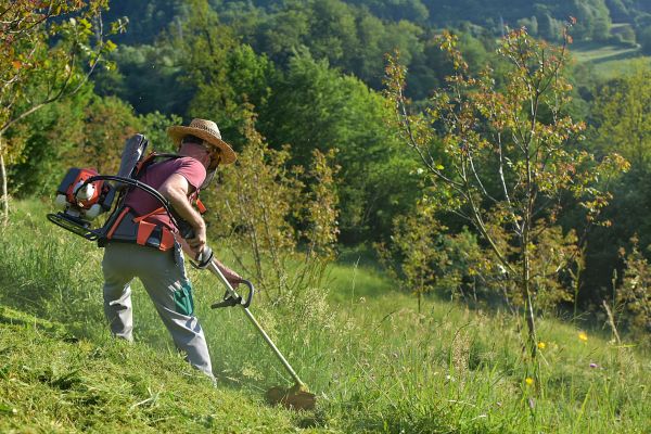 Cost of Slope Trimming in Sequim