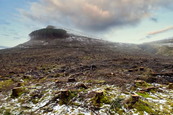 Cost of Hill Removal in Sequim
