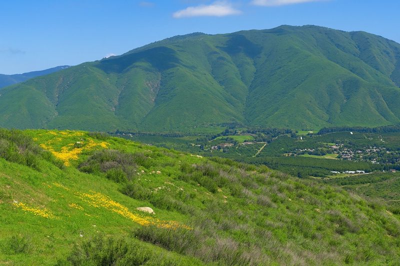 Landscape Grading Service